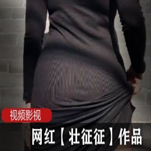 《网红作品合集：壮征征的时代》