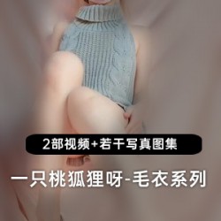 一只桃狐狸身穿灰色毛衣惊艳亮相，成为微博网红