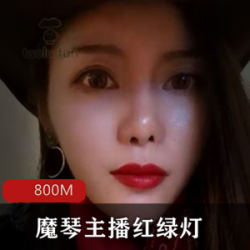 高能专业表演魔琴