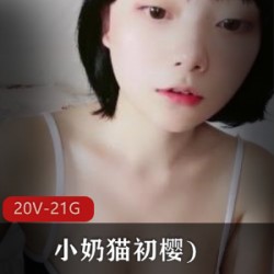 根据分割线中的内容,为商品取标题可以选择以下1.小奶猫初樱-可爱初樱风格的小奶猫2.透视JK秀-透视设计的JK服装秀3.小蛮腰马甲线-带有小蛮腰和马甲线的训练产品4.高颜值小妲己-高颜值的小妲己形象5.卡哇伊腹肌-卡哇伊风格的腹肌训练产品6.20V21.5G服装-20V21.5G高速传输技术的服装7.动作清纯表情-具有动作清纯表情的产品8.roulin-罗琳(作胀姗风格的商品