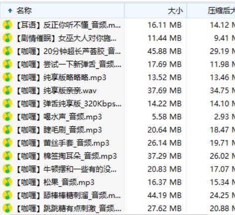 舰长包:B站A失眠R绅士助眠舔耳口腔音1.21g