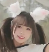 典藏版26G无水印兔娘合集