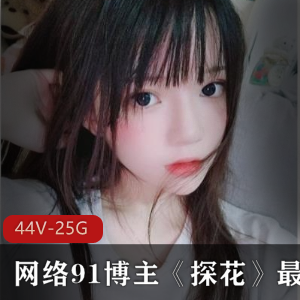 网络91博主探花系列合集