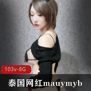 精选大车灯