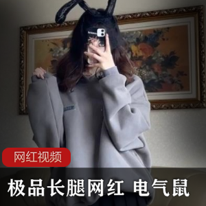 网红电气鼠作品精选：长腿小合集