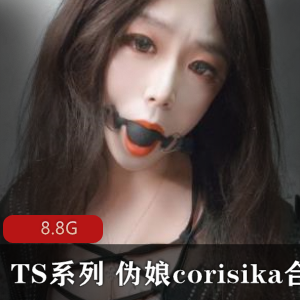 超火伪娘合集