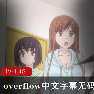 《Overflow》完整版下载观看,动画片中文字幕,无圣光岛国家庭乱L剧