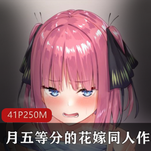 中野一花：大姐的成长与变化视频
