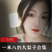 一米八大梨子精选美女视频合集5.9G,多款角色扮演尽显身材美腿