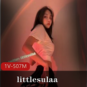 littlesulaa徐特立:颜值身材一线系列,娇柔反差婊玩法花里胡哨,Twitter视频合集507MB百度云下载