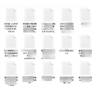 多人精选：九百部后宫小说合集，1.5G视频，作者自行打包
