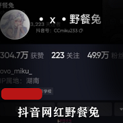 抖音网红野餐兔最新私拍视频资源，包含19个视频，总大小472M，L舞、变装、自娱自乐，惊喜连连！