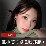 紫色哒豚豚资源合集VIP，前车大灯图包744MB