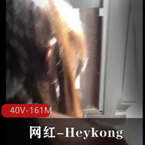 推特东北网红Heykong最新合集40V161M，不露脸车衣自拍
