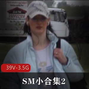 SM合集+自由国+虐心珍贵+小合集2+17V3.8G+以虐为主，温馨提示慎拍！