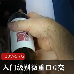 P站MsFine入门级别微口味重G交洋马最新合集30V9.7G，玩家级收藏必备