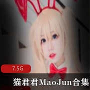 女神合集+推特+清凉可爱+猫君君MaoJun蕾姆贞德合集+视频数量未提及+大小7.5G+包含多种可爱cos作品,快来探索!
