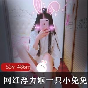 推特神秘FL姬白丝合集486MB，火辣诱人