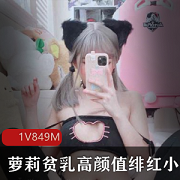 微博绯红小猫腮红诱惑合集1套849M绝美cos