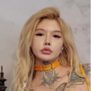龙猫夫妇2023白富美珍藏72部1.75G绝密资源