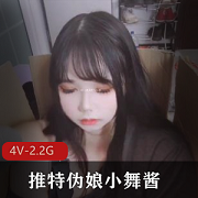 小舞酱推特伪娘团建合集4V2.2G太顶了